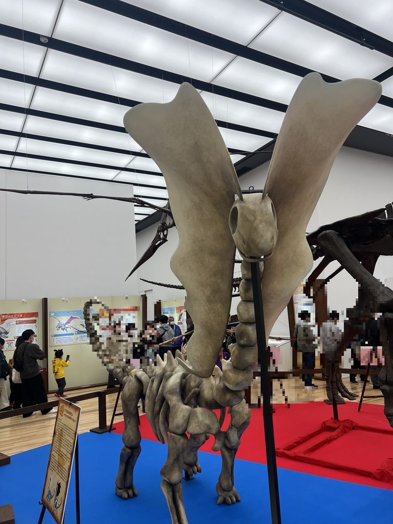 アマルルガの骨格
